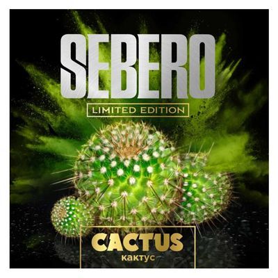 Sebero Cactus Limited