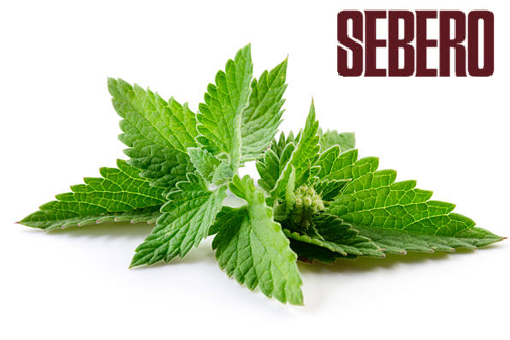 Sebero Mint