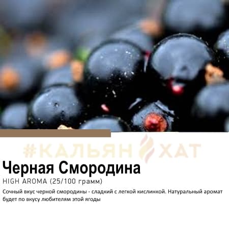 Satyr Черная Смородина