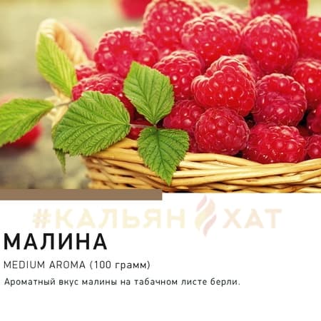 Satyr Малина