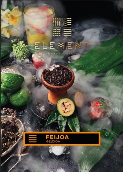 Element Feijoa