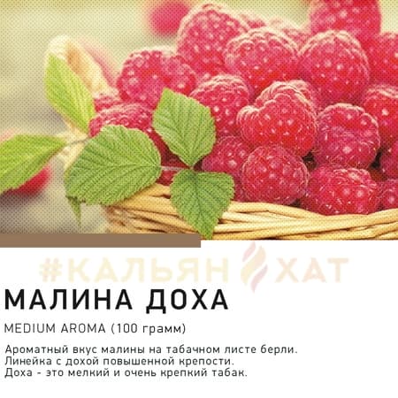 Satyr Малина-Доха