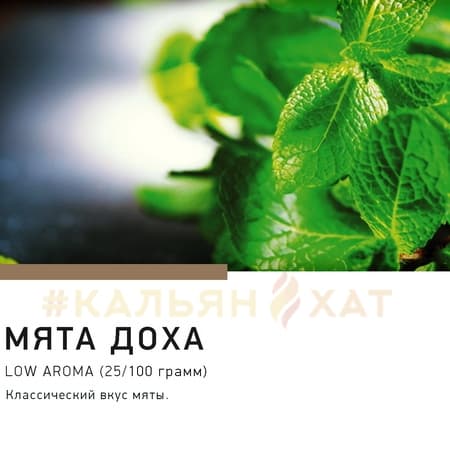 Satyr Мята-Доха