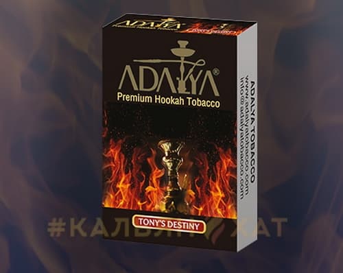 Adalya Tonys Destiny