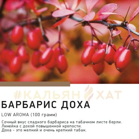 Satyr Барбарис-Доха