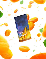 Сарма Курага