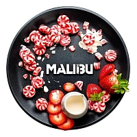 BlackBurn Malibu