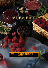 Element Raspberry