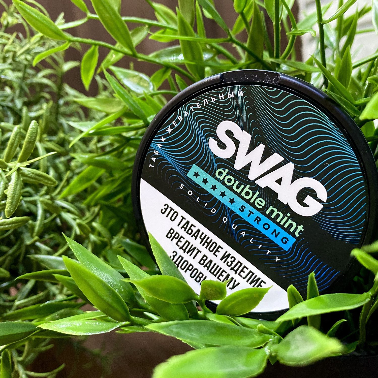 Жевательный табак SWAG