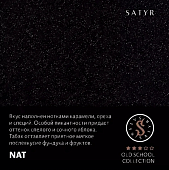 Satyr NAT