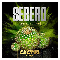 Sebero Cactus Limited