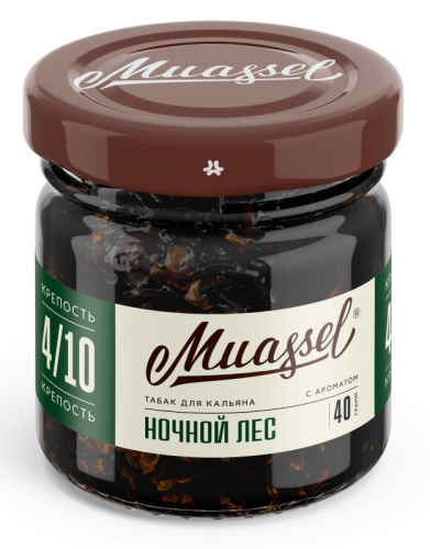 ночной лес