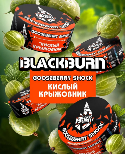 BlackBurn Gooseberry Shock