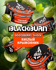 BlackBurn Gooseberry Shock