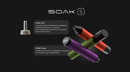 Soak S - Icy Mango (2500 затяжек)
