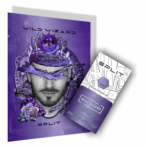 Wild Wizard