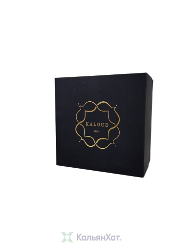 Kaloud LOTUS I+
