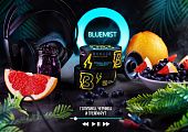 bluemist bluemist