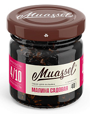 Muassel Medium Малина садовая