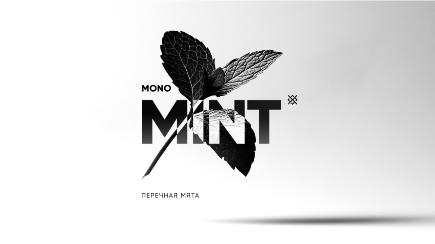 MINT Душа