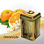 Layalina Golden Dreamcycle