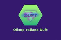 Обзор табака Duft Обзор табака Duft