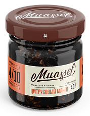 Muassel Medium  Цитрусовый манго