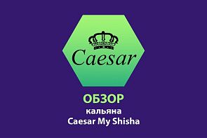 Обзор кальяна Caesar My Shisha