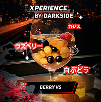 Dark Side XPERIENCE Berry Vs