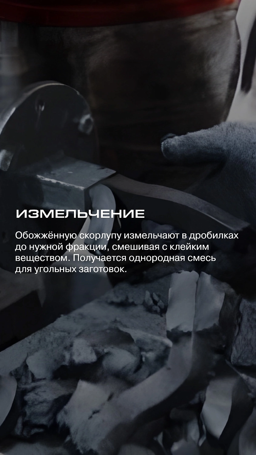 Факторы успеха бренда Coco Loco