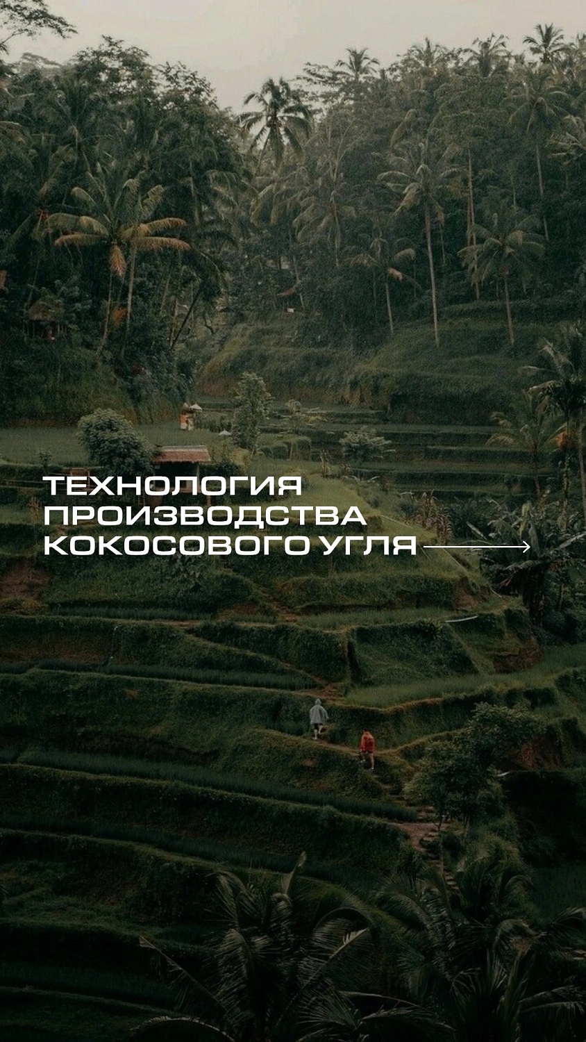 Факторы успеха бренда Coco Loco