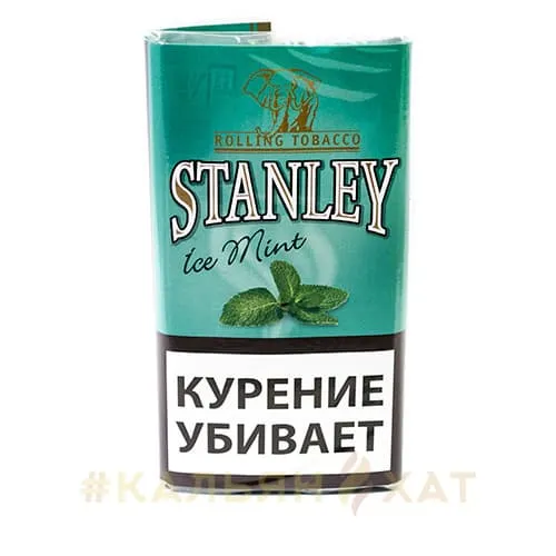 Stanley_Ice_Mint