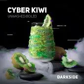 Dark Side Cyber Kiwi