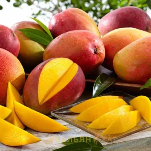 Original Virginia Mango (Манго)